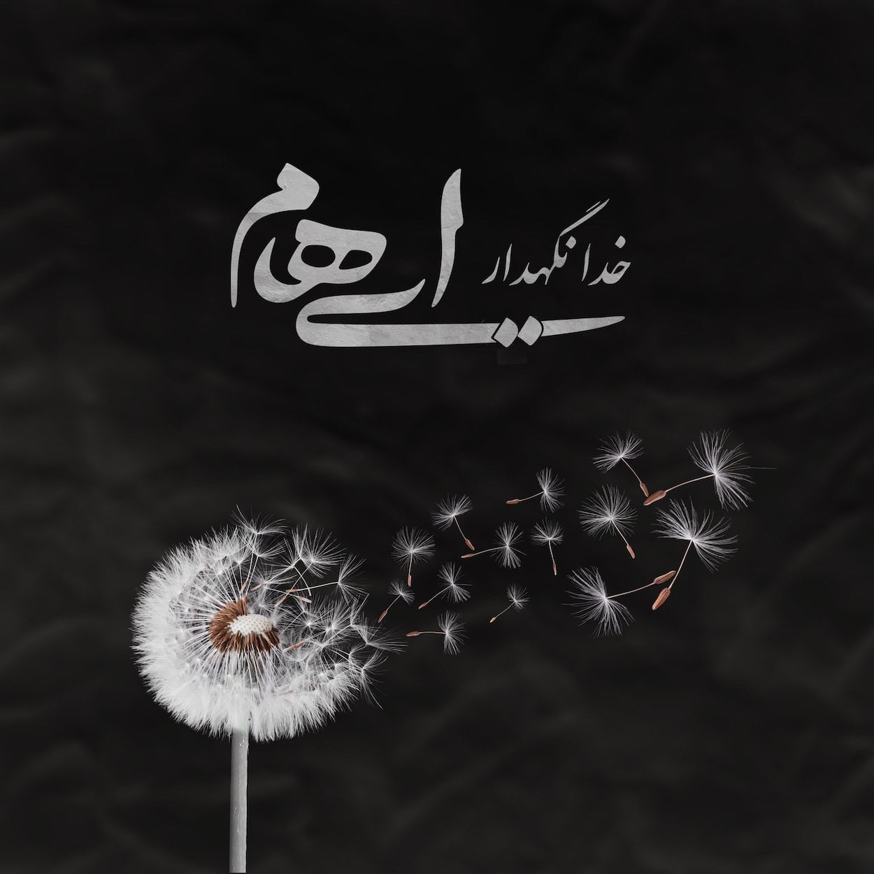 خدا نگهدار